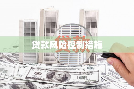 车城贷款风险控制措施