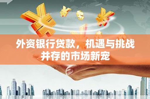 白河外资银行贷款，机遇与挑战并存的市场新宠