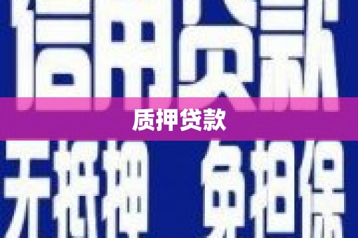 新巴尔虎左旗质押贷款