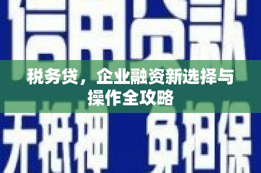 圣安多尼堂区税务贷，企业融资新选择与操作全攻略