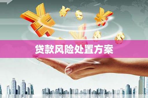 柳东贷款风险处置方案