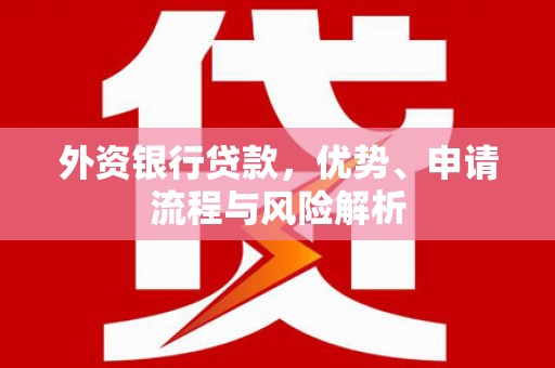 海端外资银行贷款，优势、申请流程与风险解析
