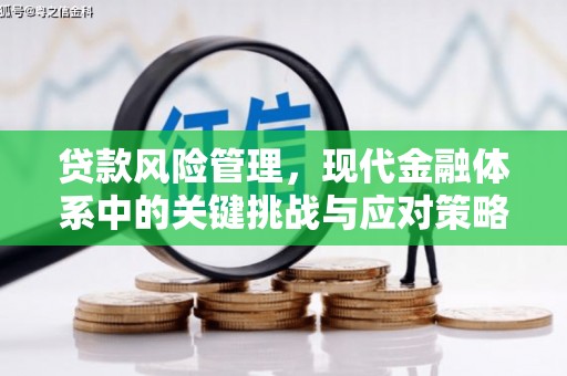金湖贷款风险管理，现代金融体系中的关键挑战与应对策略