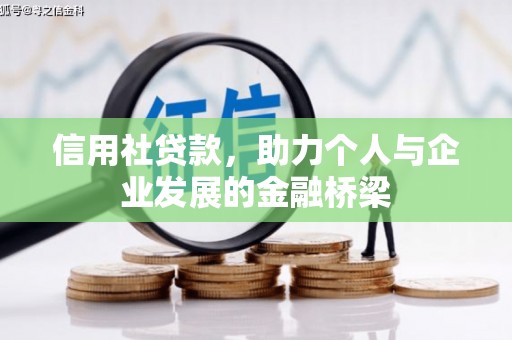 天宁信用社贷款，助力个人与企业发展的金融桥梁