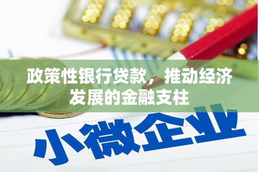 定远政策性银行贷款，推动经济发展的金融支柱