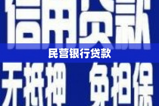 龙文民营银行贷款