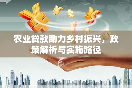 云龙农业贷款助力乡村振兴，政策解析与实施路径