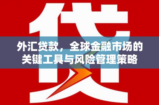 岳塘外汇贷款，全球金融市场的关键工具与风险管理策略