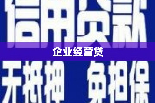迭部企业经营贷