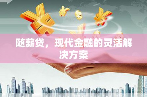 宣汉随薪贷，现代金融的灵活解决方案