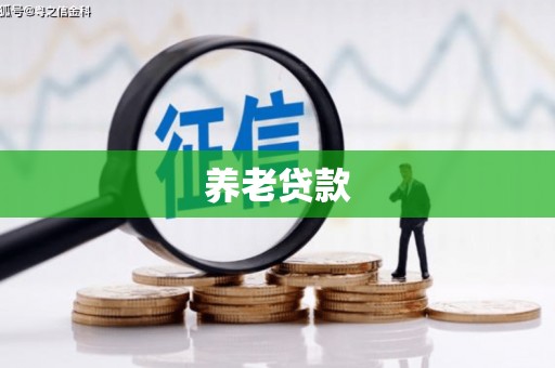 民权养老贷款