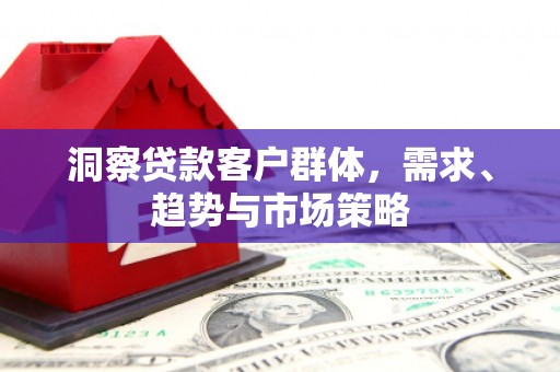 新林洞察贷款客户群体，需求、趋势与市场策略