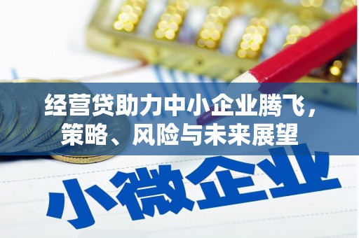 杭锦旗经营贷助力中小企业腾飞，策略、风险与未来展望
