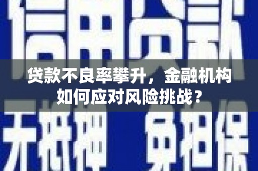 锡林浩特贷款不良率攀升，金融机构如何应对风险挑战？