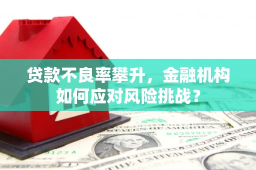 郴州贷款不良率攀升，金融机构如何应对风险挑战？