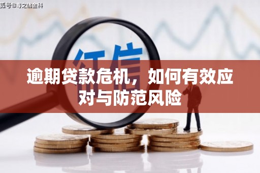 胶州逾期贷款危机，如何有效应对与防范风险
