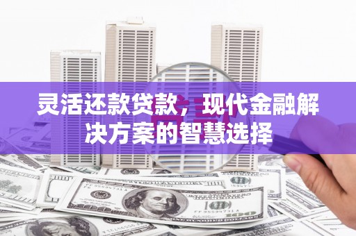 汝南灵活还款贷款，现代金融解决方案的智慧选择