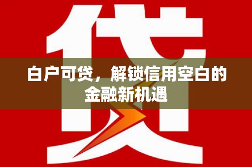 岭东白户可贷，解锁信用空白的金融新机遇