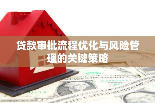昭化贷款审批流程优化与风险管理的关键策略