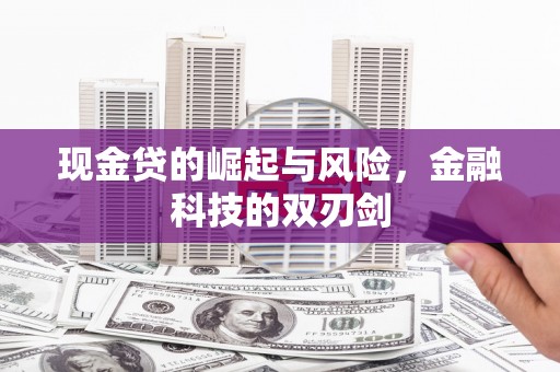 镇原现金贷的崛起与风险，金融科技的双刃剑