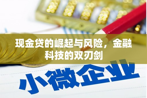 新会现金贷的崛起与风险，金融科技的双刃剑