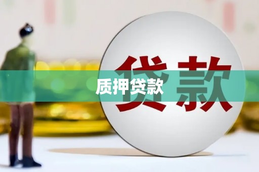 新建质押贷款