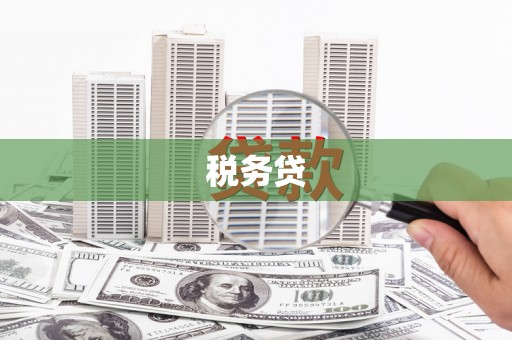 南陵税务贷