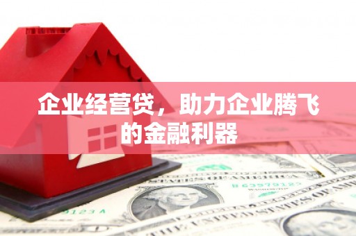 沙坡头企业经营贷，助力企业腾飞的金融利器