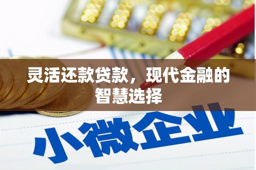 国姓灵活还款贷款，现代金融的智慧选择