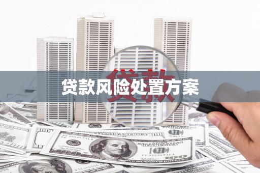 九台贷款风险处置方案