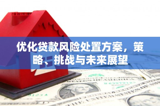 新泰优化贷款风险处置方案，策略、挑战与未来展望