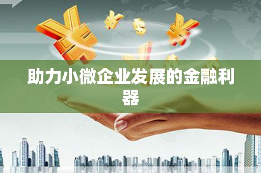 泰顺助力小微企业发展的金融利器