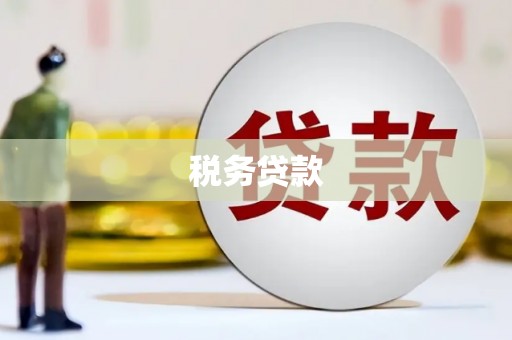 蒲城税务贷款