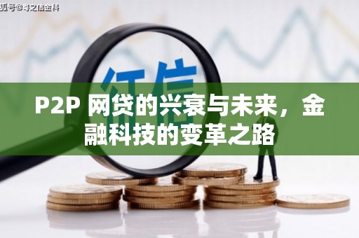 巴马P2P 网贷的兴衰与未来，金融科技的变革之路