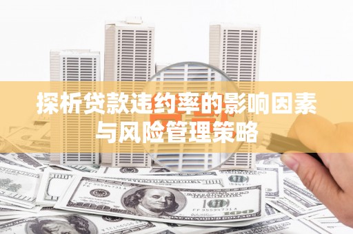 岳西探析贷款违约率的影响因素与风险管理策略