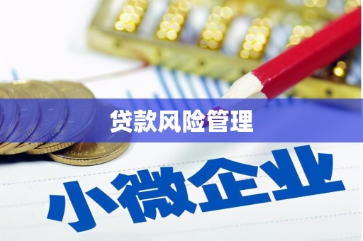尼玛贷款风险管理