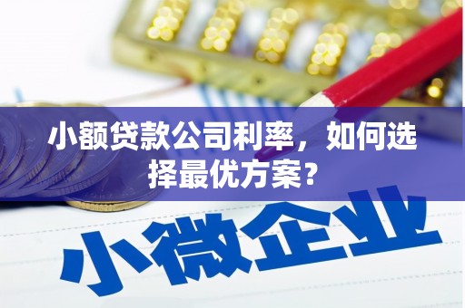 延庆小额贷款公司利率，如何选择最优方案？