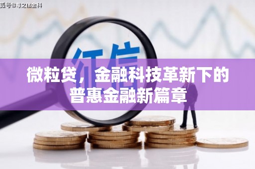 石拐微粒贷，金融科技革新下的普惠金融新篇章