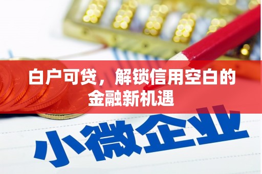 高要白户可贷，解锁信用空白的金融新机遇