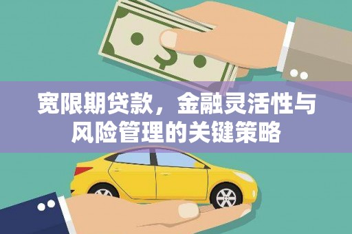 巧家宽限期贷款，金融灵活性与风险管理的关键策略