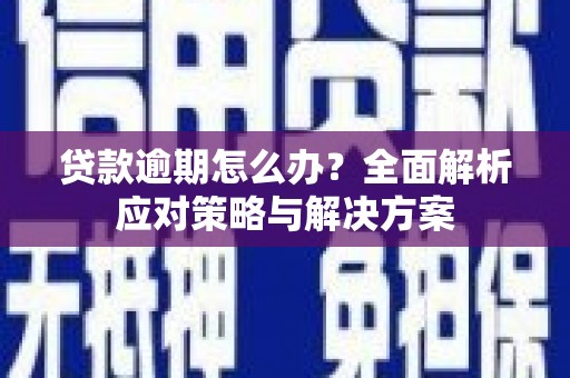 大武贷款逾期怎么办？全面解析应对策略与解决方案
