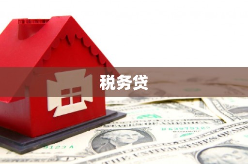 普兰店税务贷