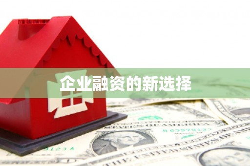 稻城企业融资的新选择