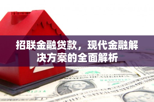 宝塔招联金融贷款，现代金融解决方案的全面解析
