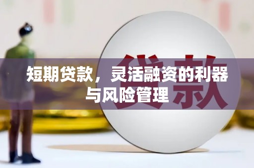 山上短期贷款，灵活融资的利器与风险管理