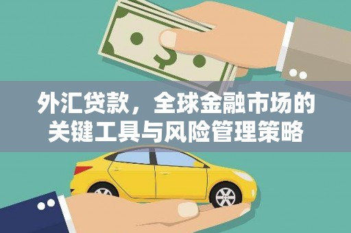 曹妃甸外汇贷款，全球金融市场的关键工具与风险管理策略