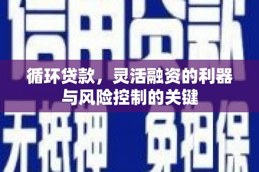 木垒循环贷款，灵活融资的利器与风险控制的关键