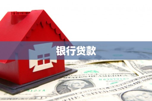 金安银行贷款