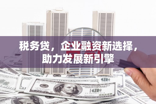 古塔税务贷，企业融资新选择，助力发展新引擎