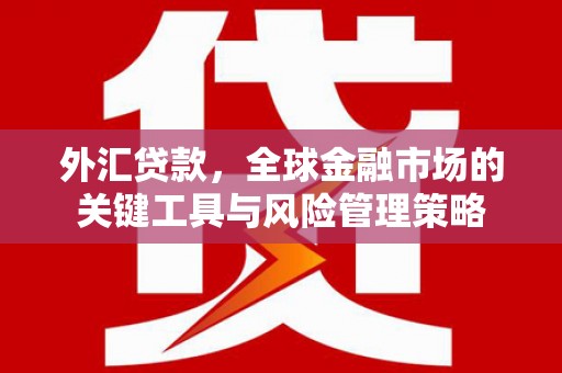 竹溪外汇贷款，全球金融市场的关键工具与风险管理策略